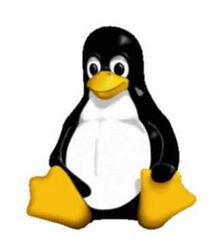 Linux   